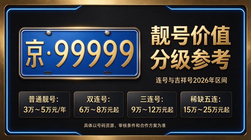 北京小牛京牌正规租赁服务现场